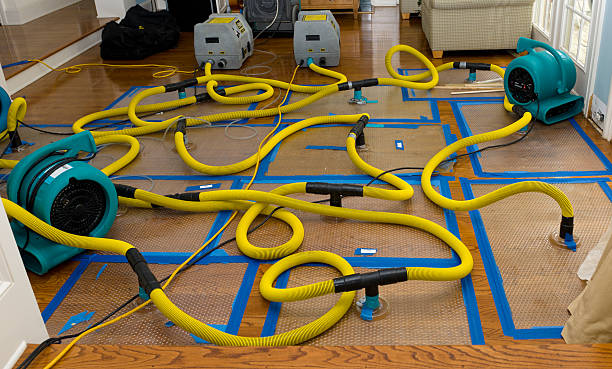Professional Water Extraction technician working in Detroit Lakes, MN